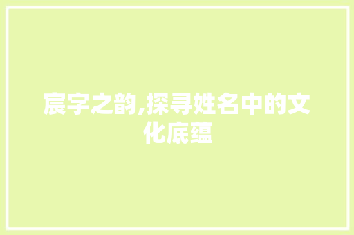 宸字之韵,探寻姓名中的文化底蕴