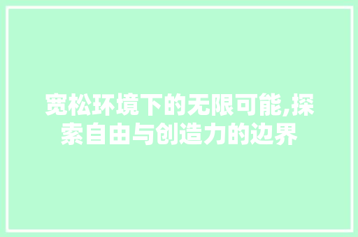 宽松环境下的无限可能,探索自由与创造力的边界