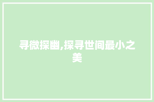 寻微探幽,探寻世间最小之美