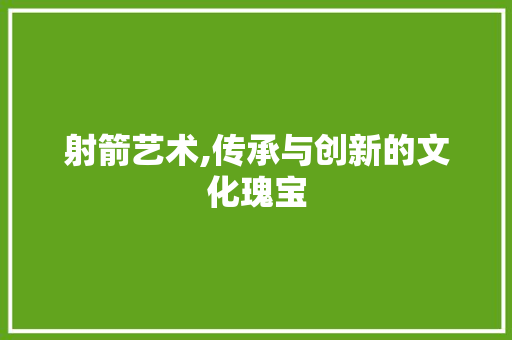 射箭艺术,传承与创新的文化瑰宝