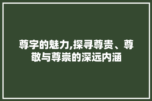 尊字的魅力,探寻尊贵、尊敬与尊崇的深远内涵