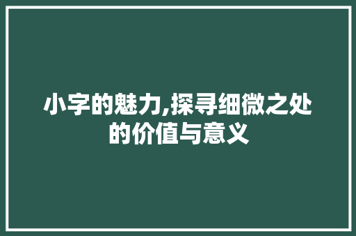 小字的魅力,探寻细微之处的价值与意义