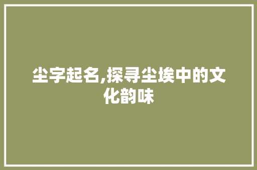 尘字起名,探寻尘埃中的文化韵味