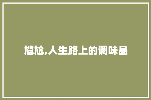 尴尬,人生路上的调味品