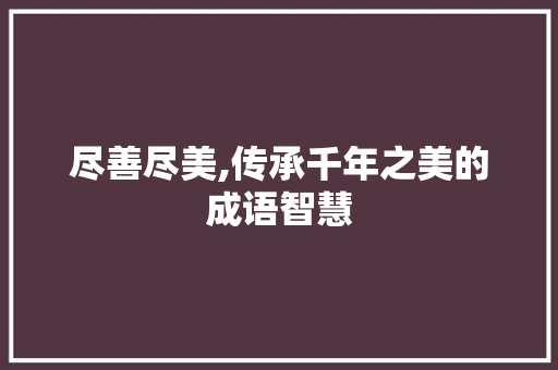 尽善尽美,传承千年之美的成语智慧