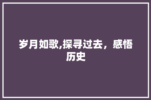岁月如歌,探寻过去，感悟历史