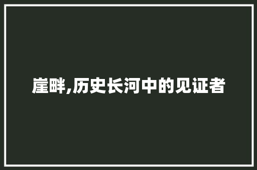 崖畔,历史长河中的见证者