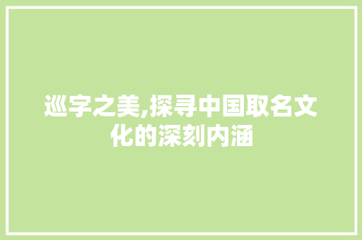 巡字之美,探寻中国取名文化的深刻内涵
