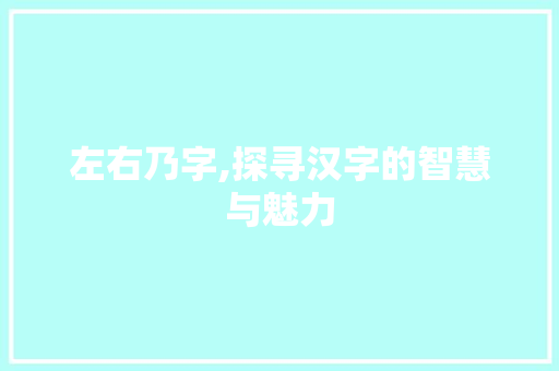 左右乃字,探寻汉字的智慧与魅力