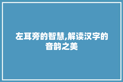 左耳旁的智慧,解读汉字的音韵之美