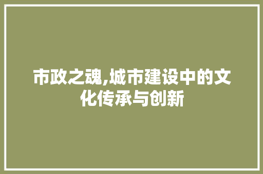 市政之魂,城市建设中的文化传承与创新