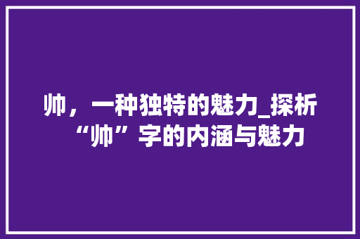 帅，一种独特的魅力_探析“帅”字的内涵与魅力