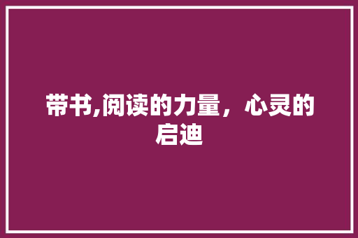 带书,阅读的力量，心灵的启迪