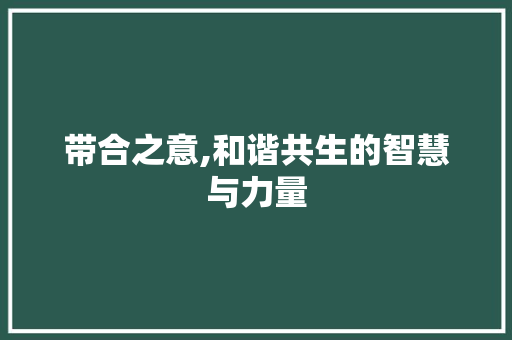带合之意,和谐共生的智慧与力量