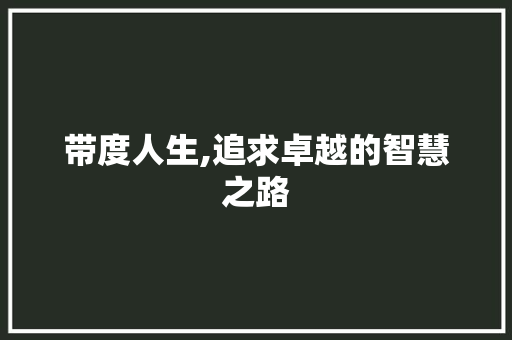 带度人生,追求卓越的智慧之路