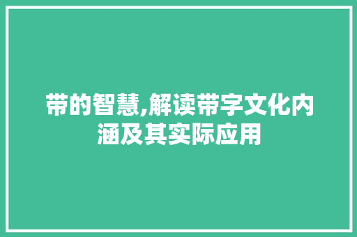 带的智慧,解读带字文化内涵及其实际应用