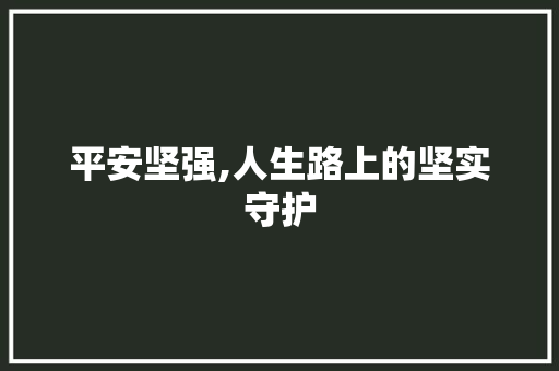 平安坚强,人生路上的坚实守护