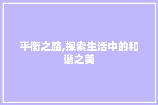 平衡之路,探索生活中的和谐之美