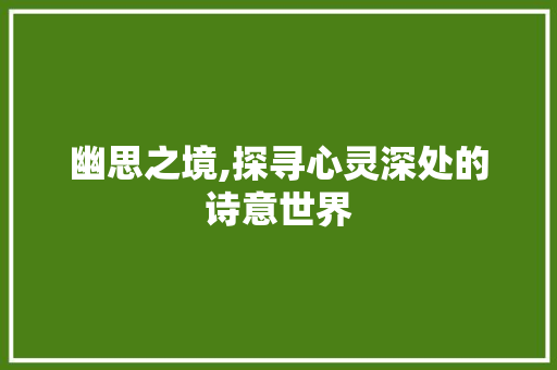 幽思之境,探寻心灵深处的诗意世界