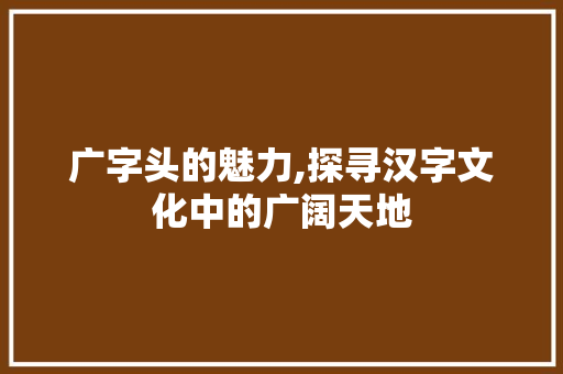 广字头的魅力,探寻汉字文化中的广阔天地