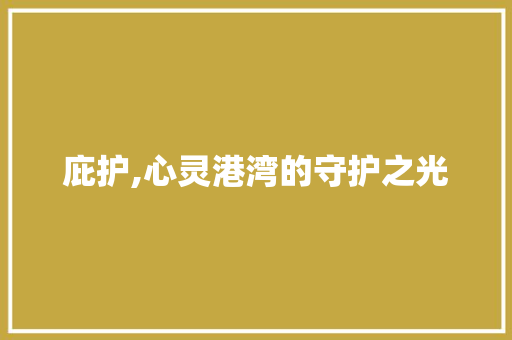 庇护,心灵港湾的守护之光