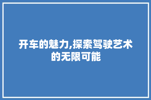 开车的魅力,探索驾驶艺术的无限可能
