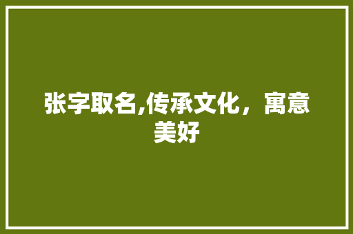 张字取名,传承文化，寓意美好