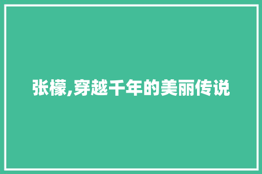 张檬,穿越千年的美丽传说 会议纪要