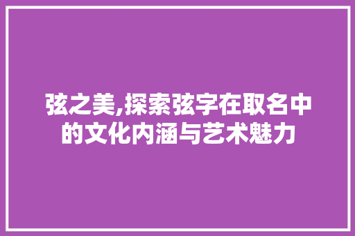 弦之美,探索弦字在取名中的文化内涵与艺术魅力