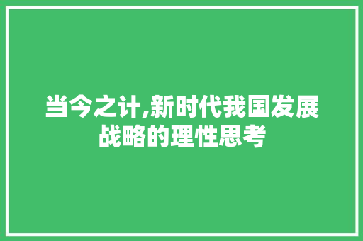 当今之计,新时代我国发展战略的理性思考