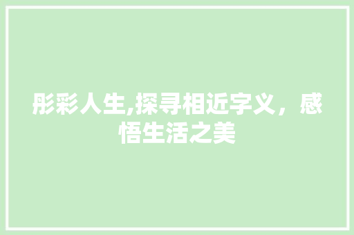 彤彩人生,探寻相近字义，感悟生活之美