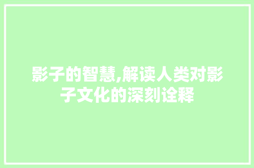 影子的智慧,解读人类对影子文化的深刻诠释