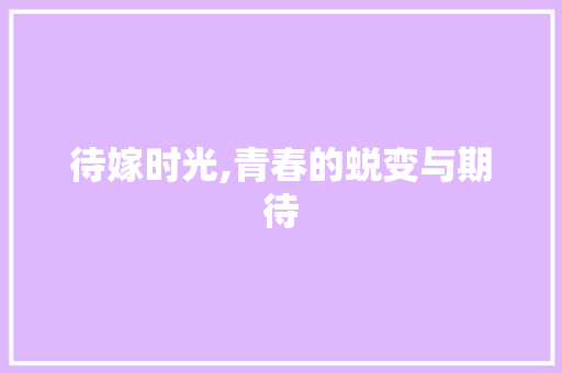 待嫁时光,青春的蜕变与期待