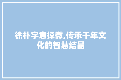 徐朴字意探微,传承千年文化的智慧结晶