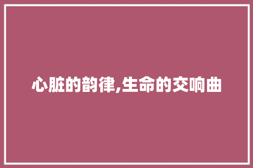 心脏的韵律,生命的交响曲