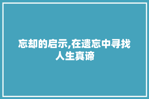 忘却的启示,在遗忘中寻找人生真谛