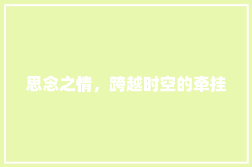 思念之情，跨越时空的牵挂 诗词鉴赏