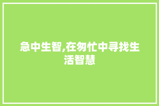 急中生智,在匆忙中寻找生活智慧
