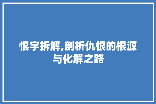 恨字拆解,剖析仇恨的根源与化解之路 项目报告