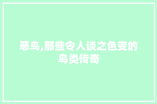 恶鸟,那些令人谈之色变的鸟类传奇