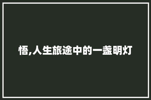 悟,人生旅途中的一盏明灯