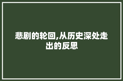 悲剧的轮回,从历史深处走出的反思 项目报告