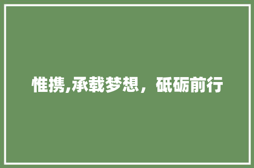 惟携,承载梦想，砥砺前行