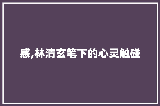 感,林清玄笔下的心灵触碰 职场写作