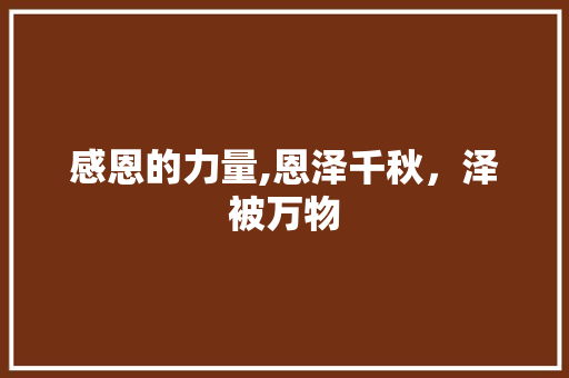感恩的力量,恩泽千秋，泽被万物