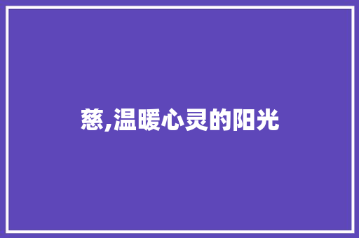 慈,温暖心灵的阳光