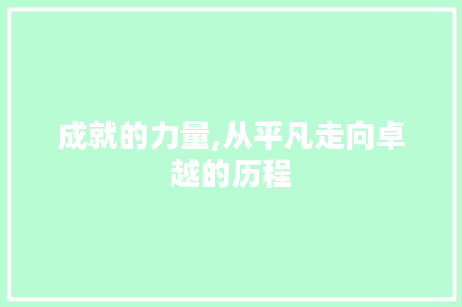 成就的力量,从平凡走向卓越的历程