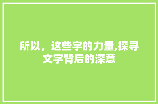 所以，这些字的力量,探寻文字背后的深意