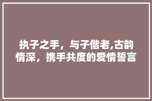 执子之手，与子偕老,古韵情深，携手共度的爱情誓言
