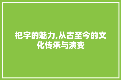 把字的魅力,从古至今的文化传承与演变